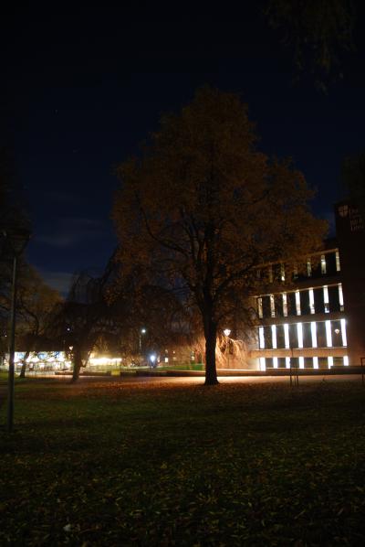 Tree of learning (?) by University Library