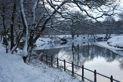 Frozen Durham