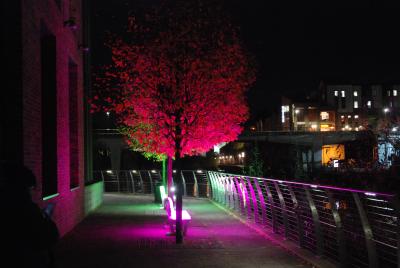 Lightbenches - Walkergate Riverside